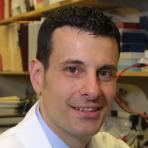 Steven P. Treon, MD, PhD