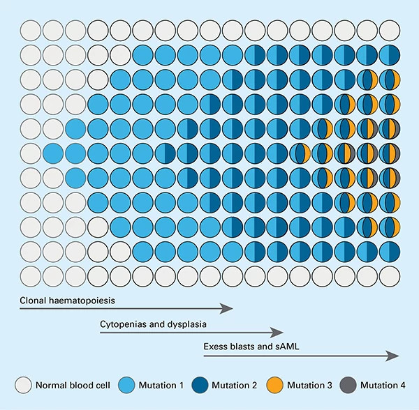 clonal-hematopoiesis-diagram-600x588.jpg