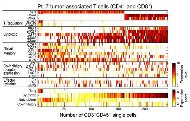 cpcv-heatmap-diagram-653x415.jpg