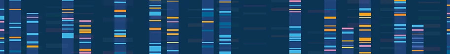 genome-illustration-913x110.jpg