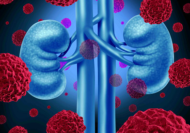 kidneys-immunotherapy.jpg