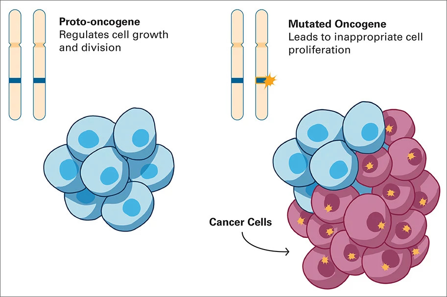 oncogenes-illustration-2-913x607.jpg